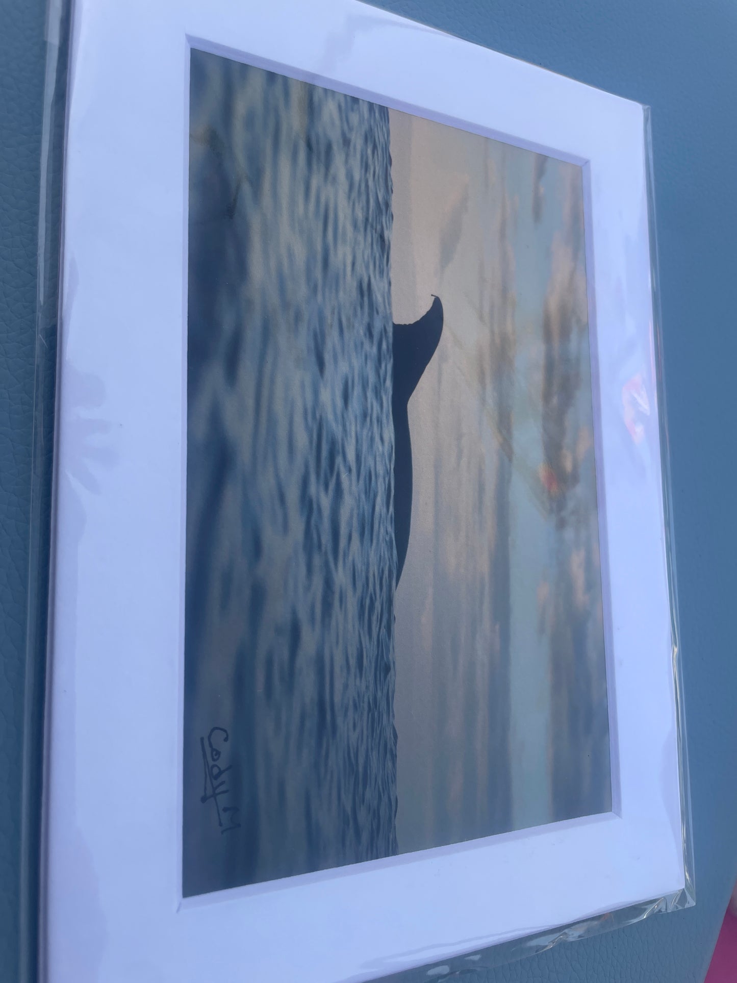 Cody Mathew - 4x6 print
