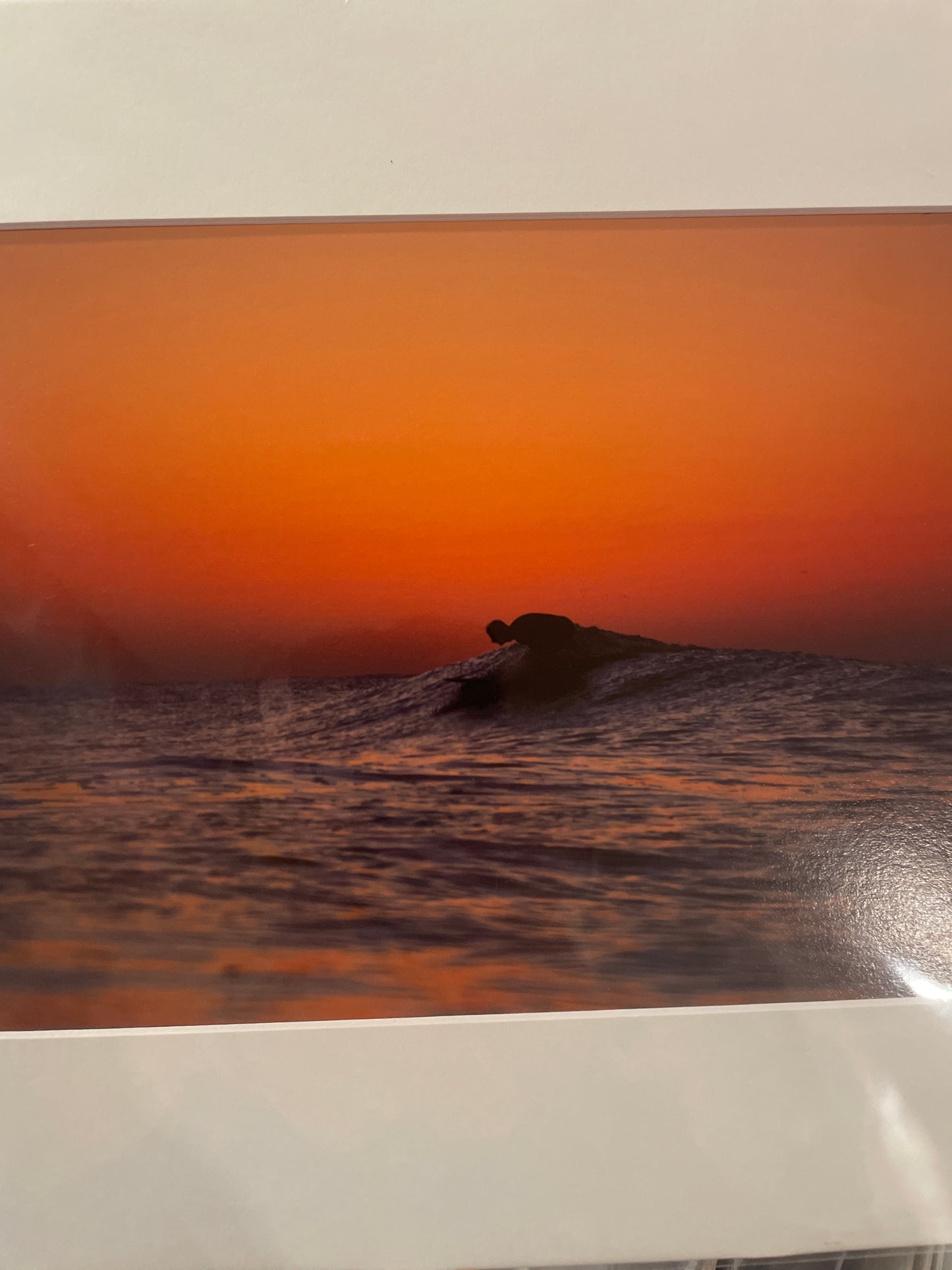 Cody Mathew - 8x12 Print