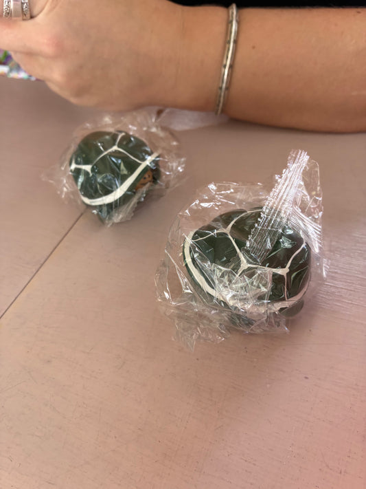 Turtle Pop It
